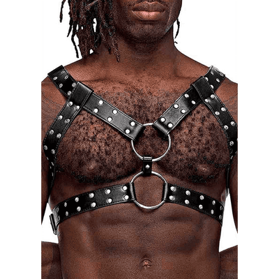 Gemini Harness - postroj Male Power