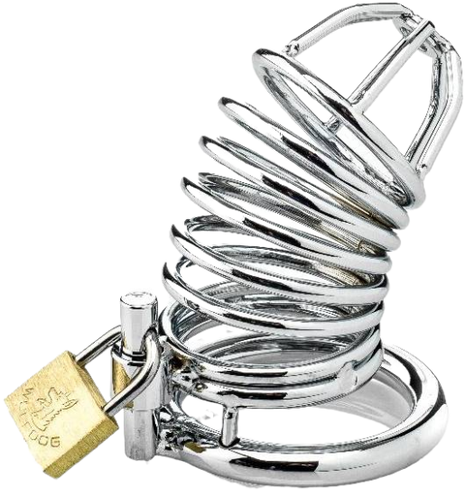 ZENN Ringed Cock Cage With 3 Cockrings